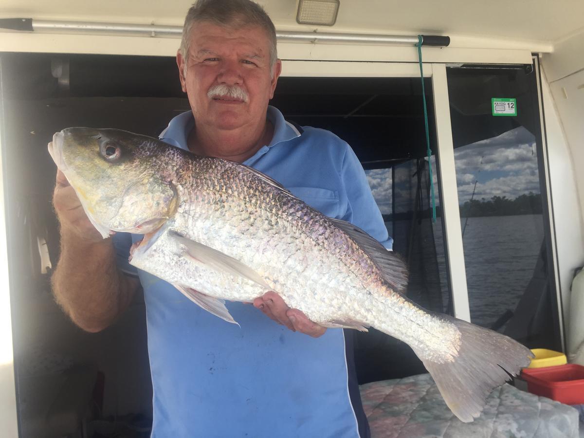 Lucinda Fishing Lodge מראה חיצוני תמונה